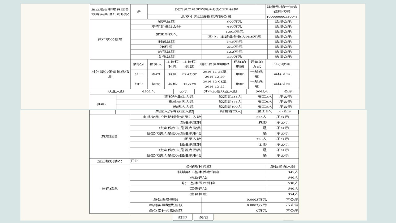 企業(yè)年報(bào)圖片22